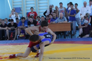 КОРОЛЕВА СПОРТА. ГОРЬКОВСКОЕ-2016