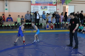 Первенство Марьяновского района памяти ветеранов ВОВ (13.05.2017)
