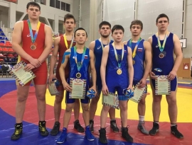 Омские борцы завоевали семь наград на первенстве СФО в Абакане