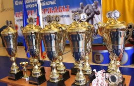 Омские борцы завоевали награды "Центра Державы"