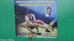 Первенство Шербакульской ДЮСШ памяти Ю.А. Крикухи (2017)