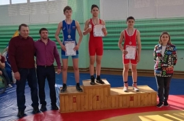 23-й областной турнир по греко-римской борьбе памяти Ивана Стрельникова