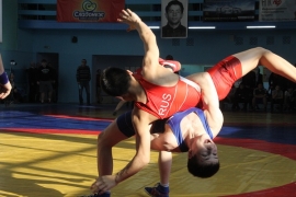 Всероссийский турнир по борьбе памяти Сергея Игнатенко определил победителей