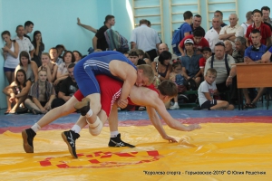 КОРОЛЕВА СПОРТА. ГОРЬКОВСКОЕ-2016