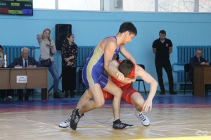 57 турнир памяти Ю.Я. Сапожникова (2019)
