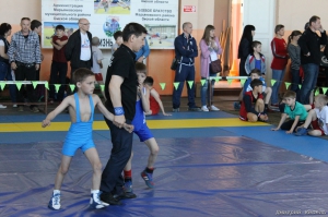 Первенство Марьяновского района памяти ветеранов ВОВ (13.05.2017)