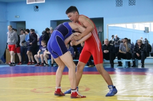 XXIV Мемориал С.Игнатенко (2017)