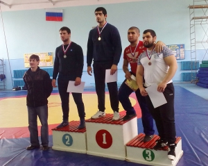 Чемпионат Омской области по греко-римской борьбе (2016)